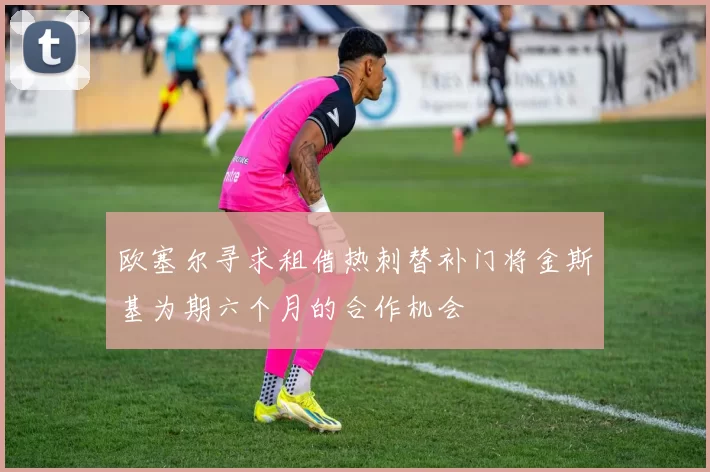 欧塞尔寻求租借热刺替补门将金斯基为期六个月的合作机会