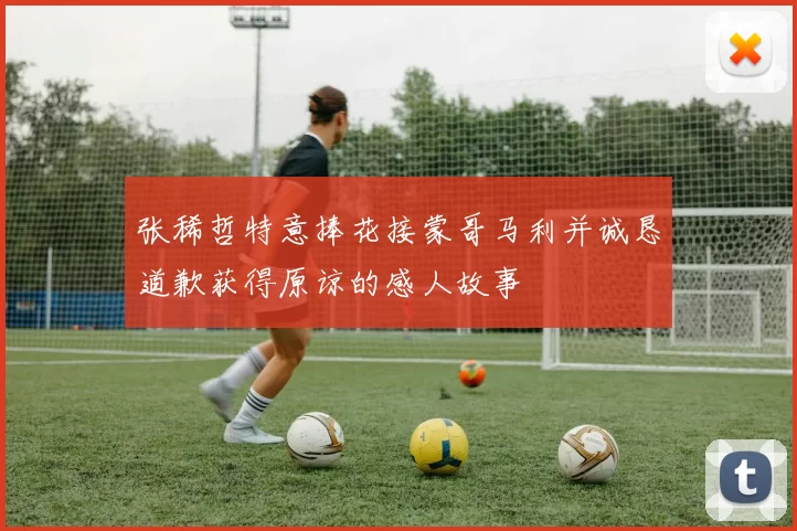 张稀哲特意捧花接蒙哥马利并诚恳道歉获得原谅的感人故事